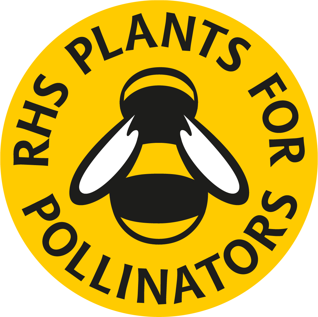 BUY RHS Plants For Pollinators Ready For Planting Champion Plants