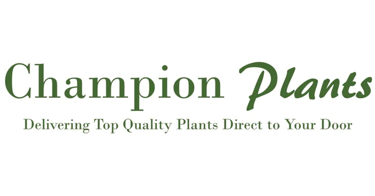 Buy Plants Online Mailorder UK Plant Nursery Best Online Garden Centre Champion Plants