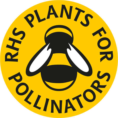 RHS Plants For Pollinators